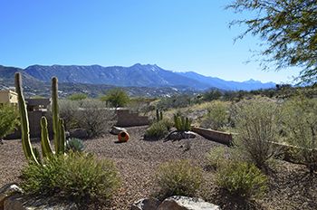Tucson Home for Sale in Saddlebrooke