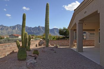 Sun City Oro Valley Home For Sale with Mountain Views Inside  & Out
