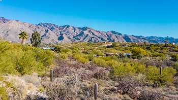 Tucson land for Sale in Catalina Foothills