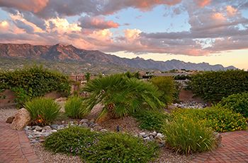 Saddlebrooke Preserve Home in Tucson AZ