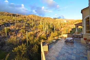 Views of Sagaros in Cornado National Forest