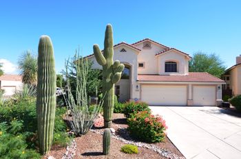 Saguaros adorn the fron yard of this Tucson home
