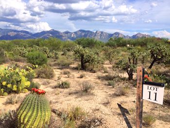 Stone Canyon Custom Home Lot for Sale Oro Valley AZ 85755