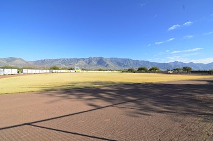 Softball Field in Saddlebrooke