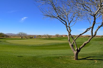 Saddlebrooke Ranch AZ Homes For Sale Golf Course