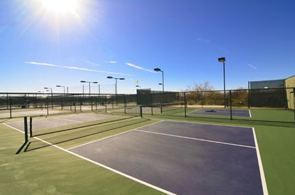Homes For Sale in Saddlebrooke Ranch Pickleball Courts