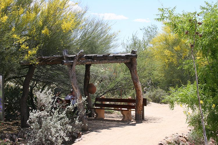 Tohono Chul Botanical Gardens Outdoor Bench, Tucson AZ